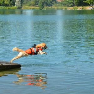 Esercitazioni in acqua