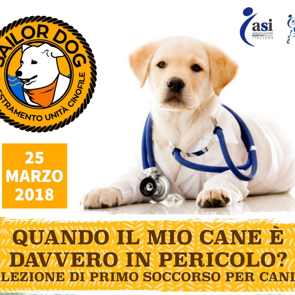 Sailor Dog - Corso di Primo Soccorso Veterinario - Quando intervenire?