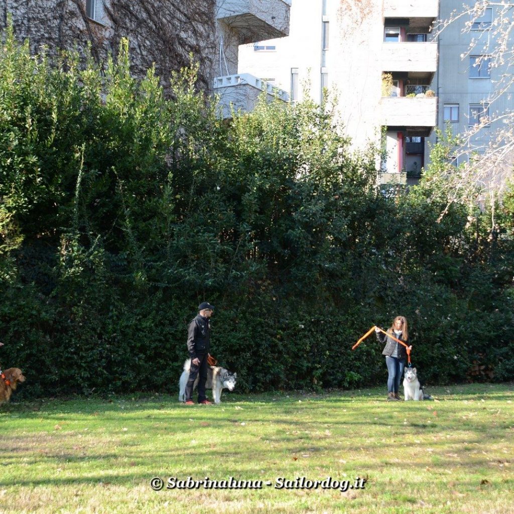 Sailordog - Educazione Cinofila