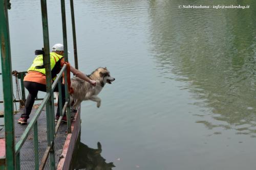 Tuffo in acqua